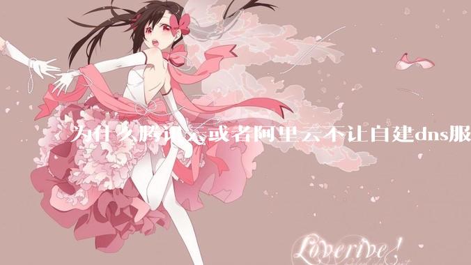 为什么腾讯云或者阿里云不让自建dns服务器?