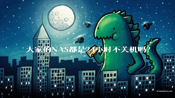 大家的NAS都是24小时不关机吗？