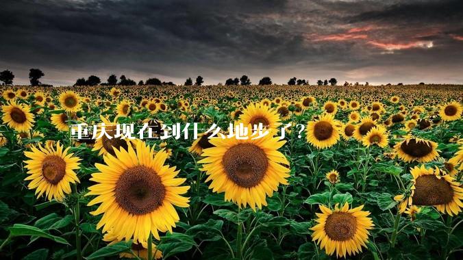 重庆现在到什么地步了？